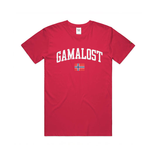 Gamalost Tee - Norway